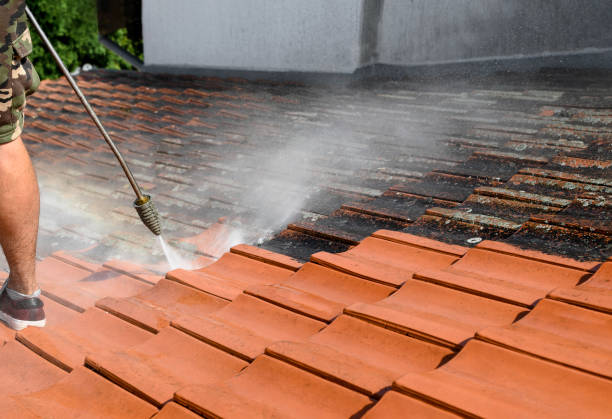 Best Residential Pressure Washing Services  in Ault, CO