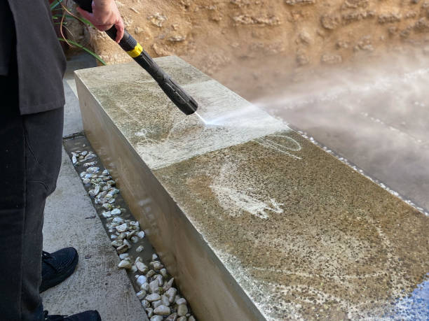 Best Exterior Home Cleaning  in Ault, CO