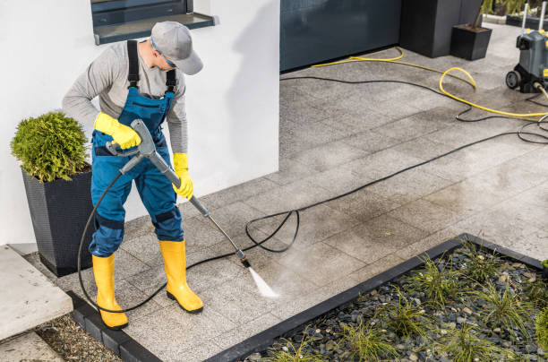 Best House Pressure Washing  in Ault, CO